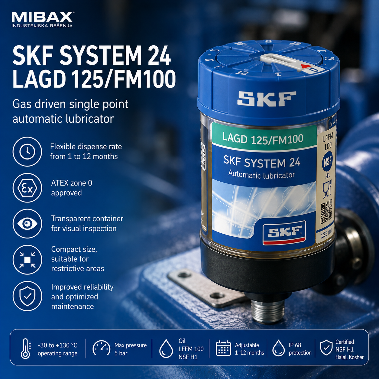 Ulje SKF LAGD 125/FM100