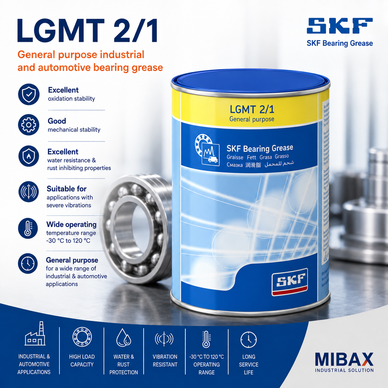 Mast SKF LGMT 2/1