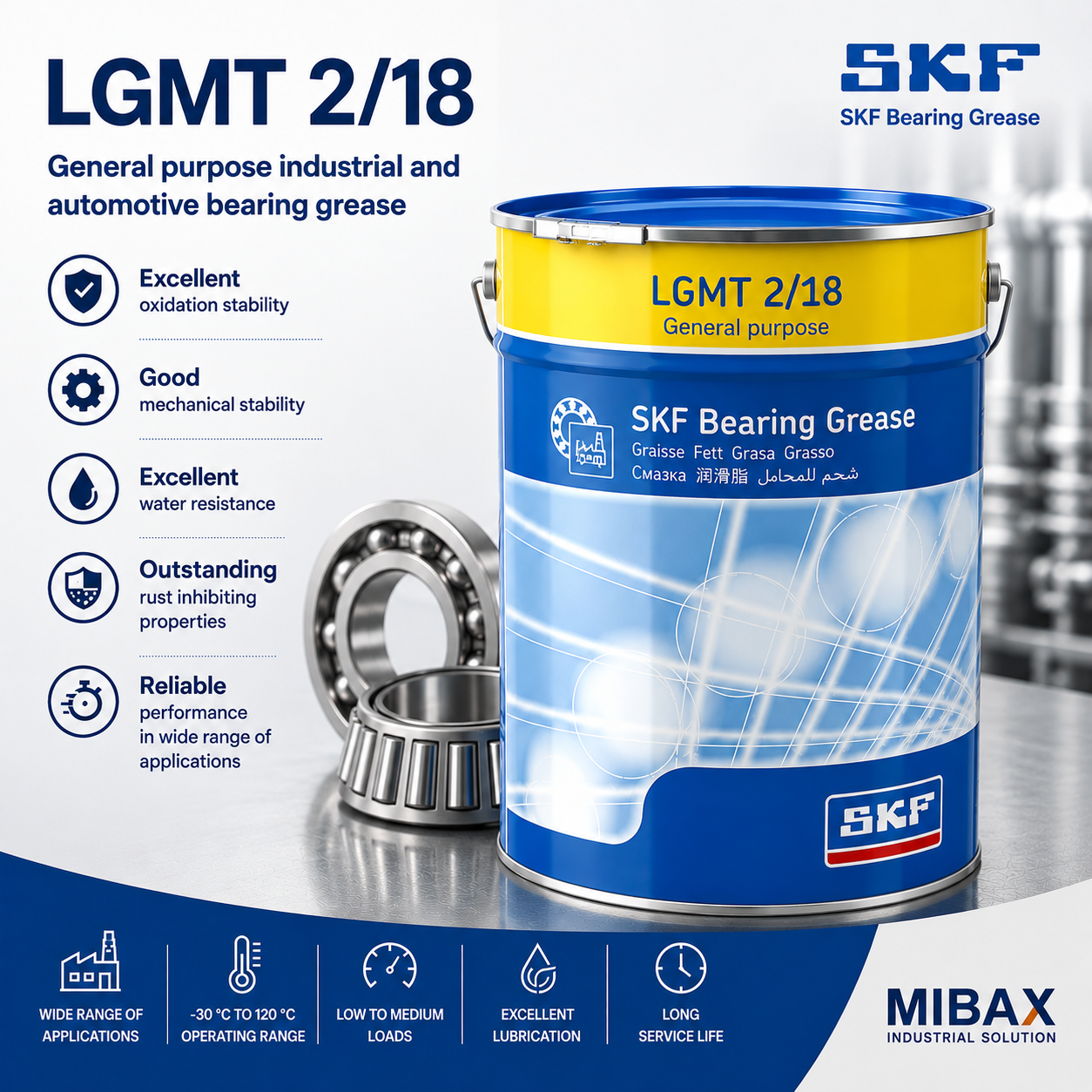 Mast SKF LGMT 2/18