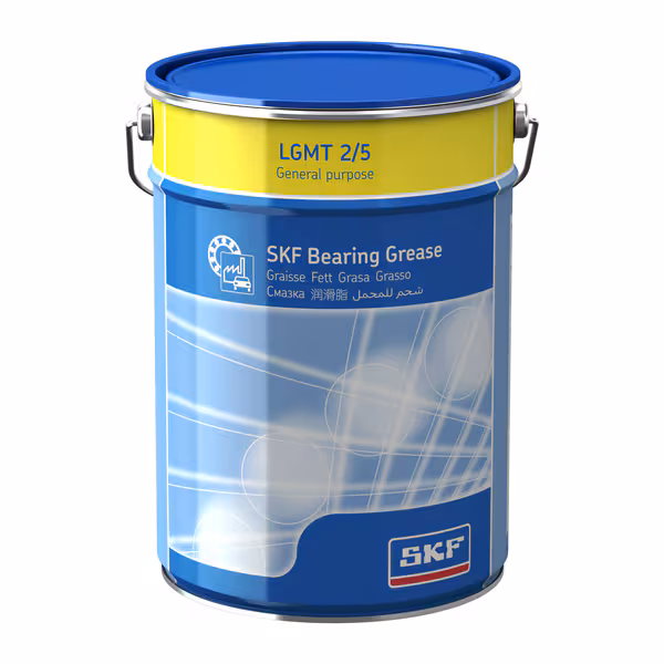Mast SKF LGMT 2/5