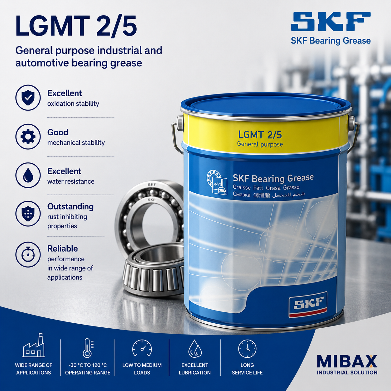 Mast SKF LGMT 2/5