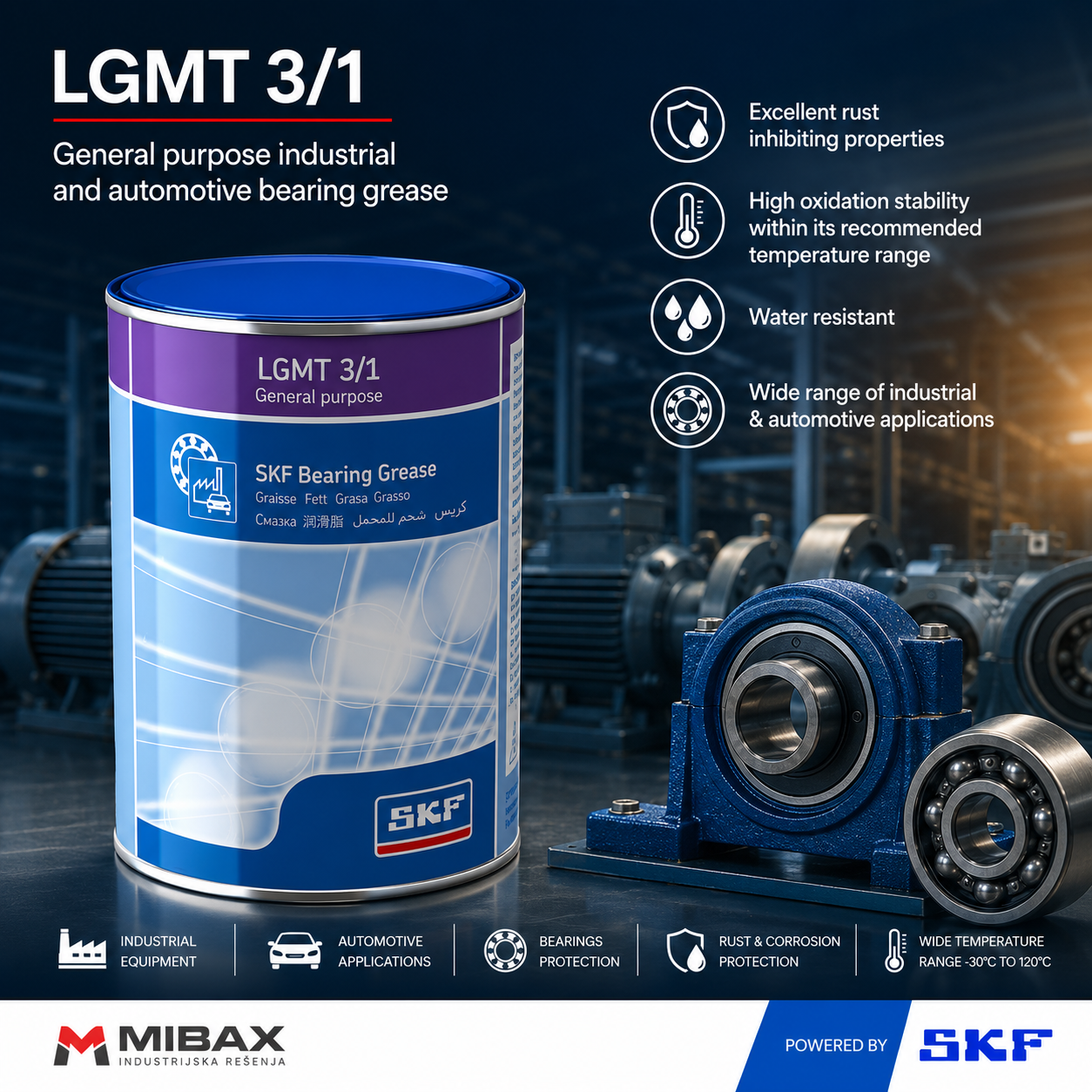 Mast SKF LGMT 3/1