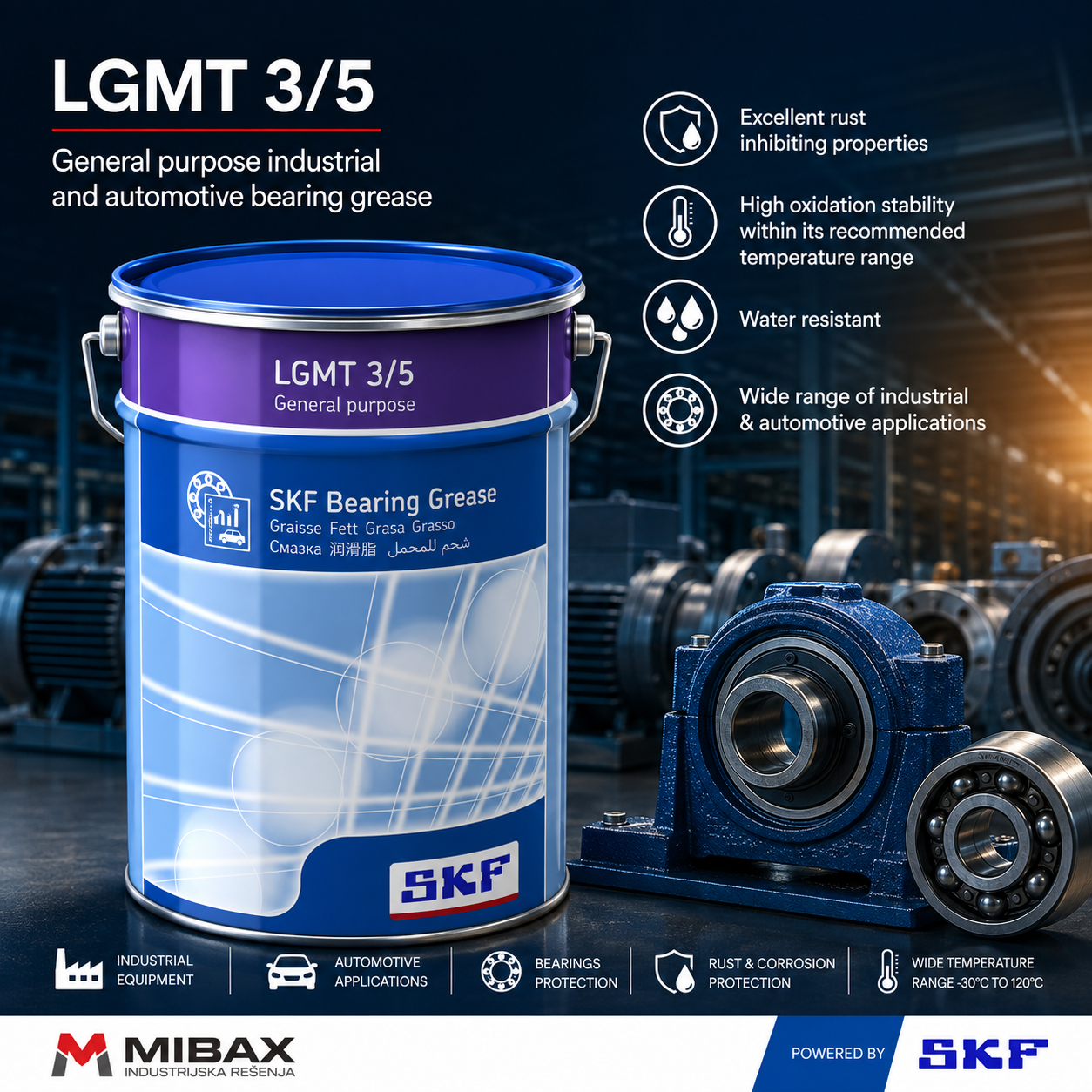 Mast SKF LGMT 3/5