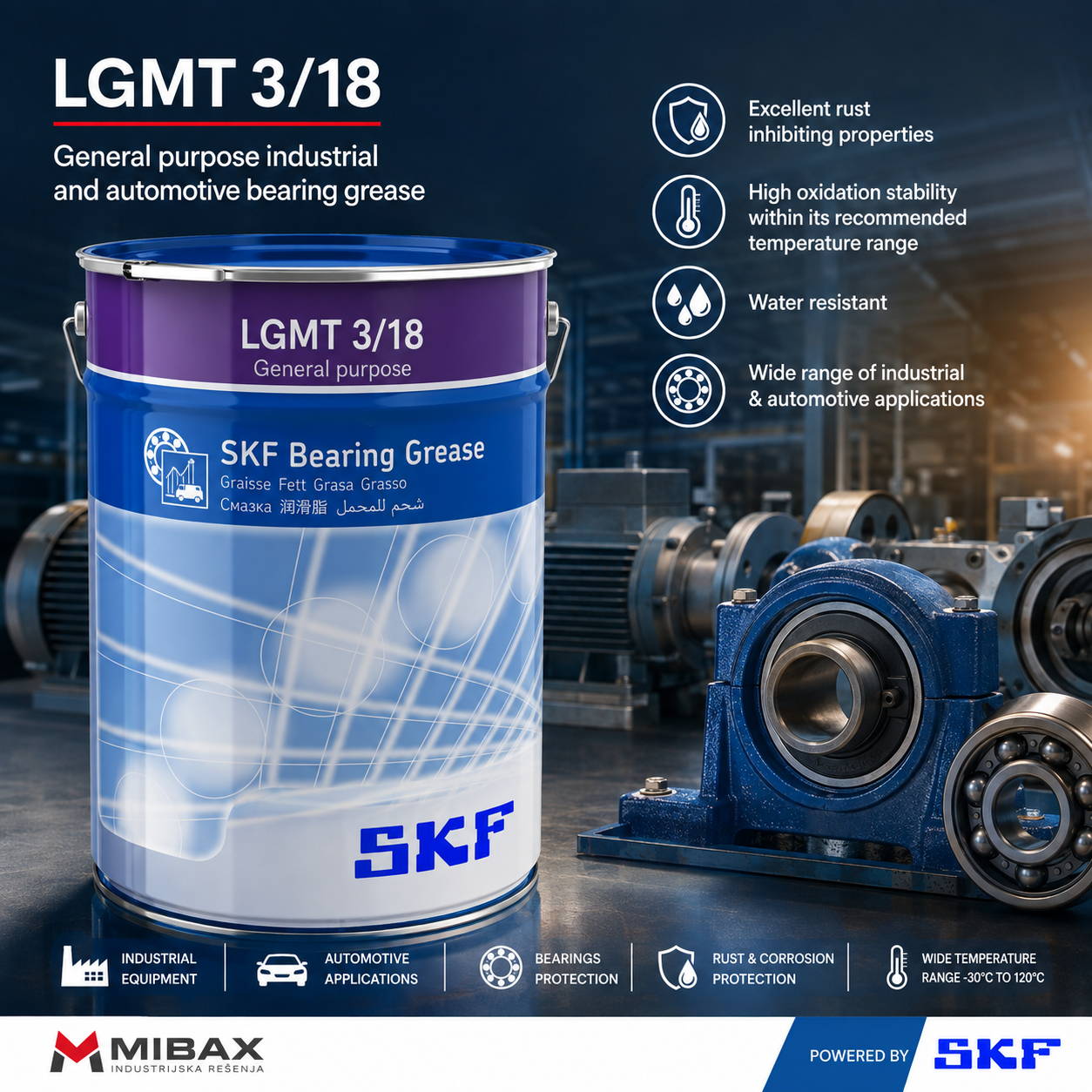 Mast SKF LGMT 3/18