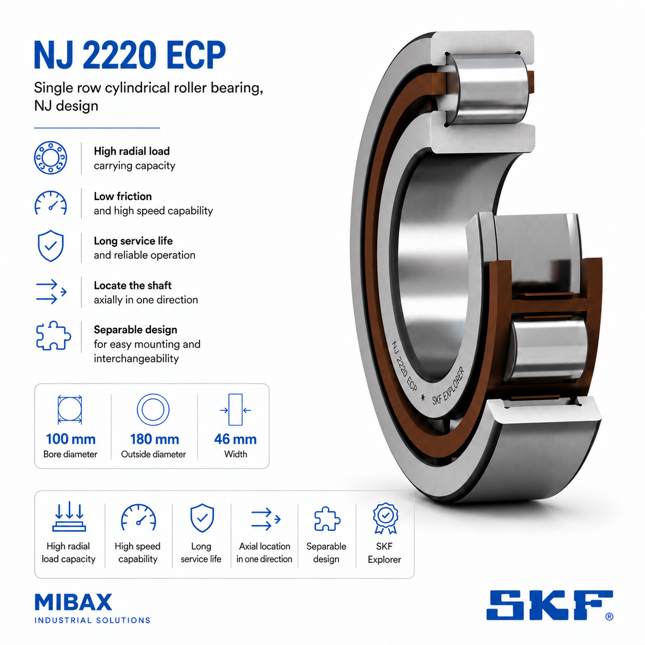 Lezaj SKF NJ 2220 ECP